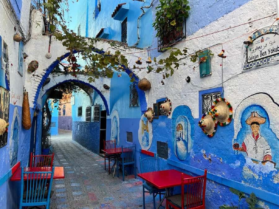 Fes to Chefchaouen Day Trip multi languages(EN/FR/ES/IT/AR) - The Rif Mountains drive, plus the three planned stops
