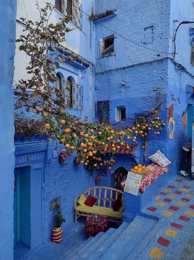Fes to Chefchaouen Day Trip multi languages(EN/FR/ES/IT/AR) - Food, drinks, and what to pack for a long road day