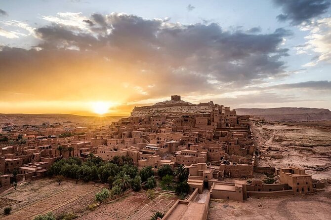 Fes to Desert journey through the heart of Morocco - Azrou Cedar Forest: a short break with monkeys and a real Atlas feel