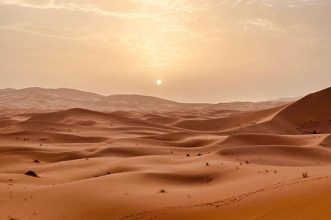 Fes to Desert journey through the heart of Morocco - Merzouga dunes at golden hour: camel trekking, 4x4 access, and camp night