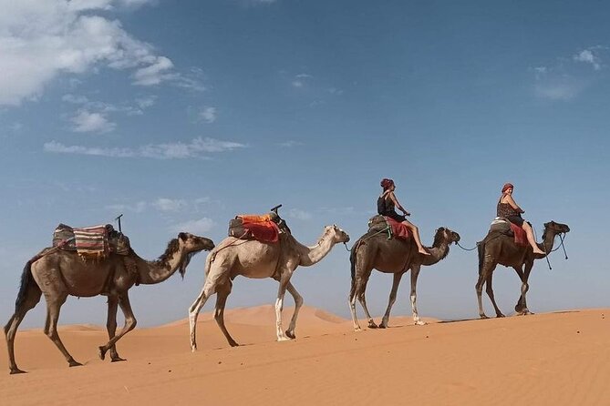 Fes to Desert journey through the heart of Morocco - The palm-filled oasis viewpoint before Merzouga
