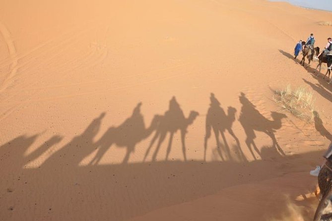 Fes to Fes 2 days via Merzouga desert tour - Key things I’d circle before you book