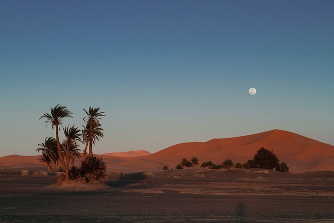 Fes to Fes 2 days via Merzouga desert tour - The Middle Atlas drive to Merzouga: why the in-between parts matter