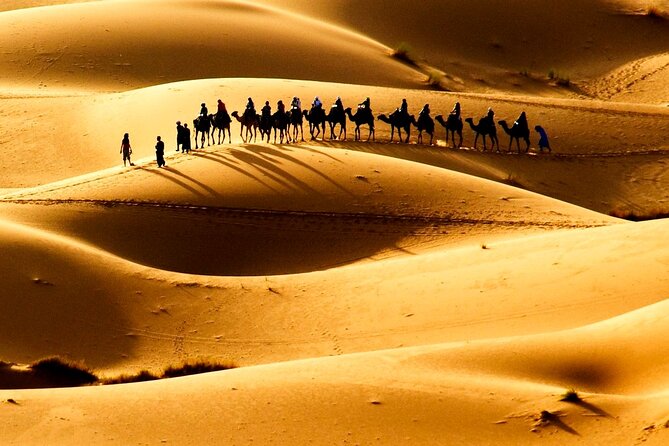 Fes to Fes 2 days via Merzouga desert tour - Sahara Magic at Erg Chebbi: palm oases to dunes, then Berber hospitality