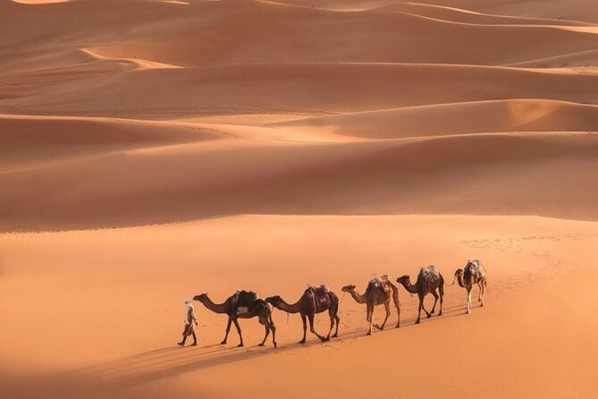 Fes To Marrakech: 3-Day Desert Tour - From Fez pickup to the Atlas grind: the real logistics