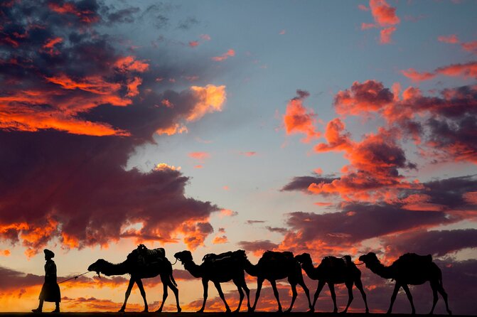 Fes To Marrakech: 3-Day Desert Tour - Merzouga and Erg Chebbi: the camel trek and desert camp night