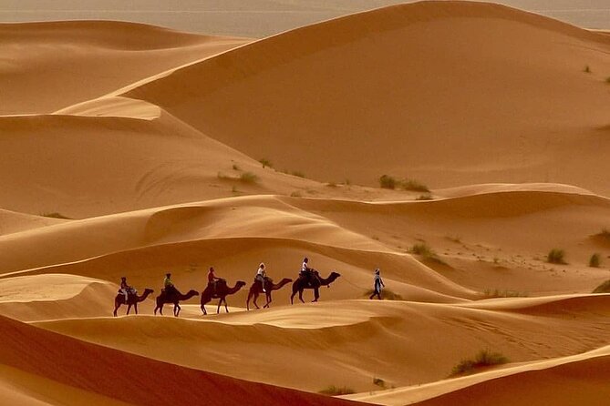 Fes To Marrakech: 3-Day Desert Tour - Dades Valley and the rock formations