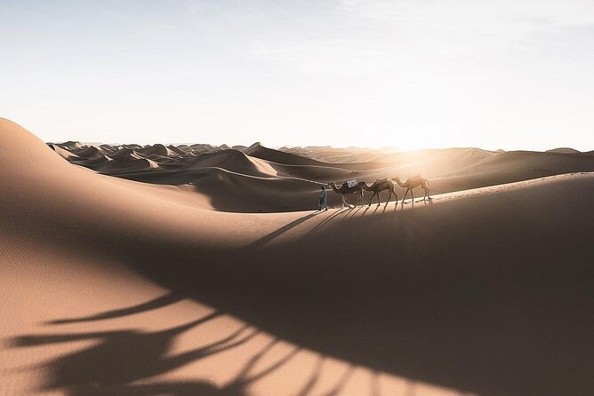 Fes To Marrakech: 3-Day Desert Tour - Day 3: Valley of Roses, Ait Ben Haddou, and Tizi n’Tichka to Marrakech
