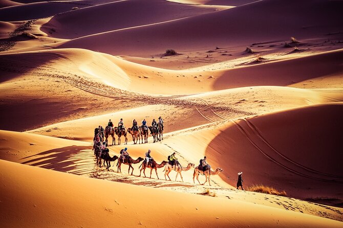 Fes to Marrakech 3 Days Desert Tour - Key highlights you will feel fast