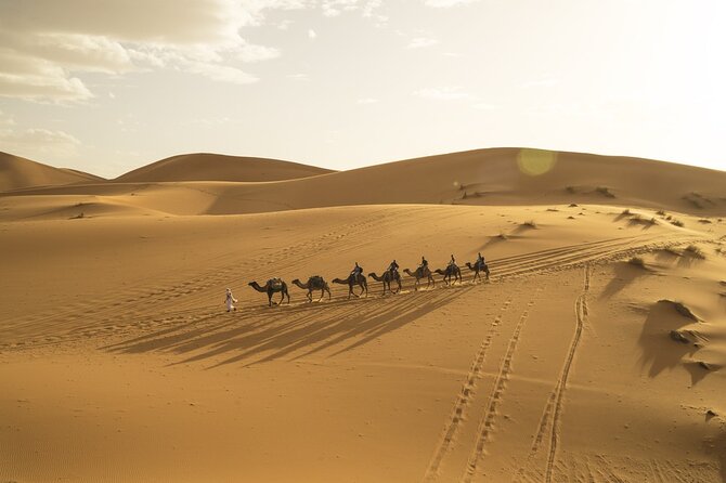 Fes to Marrakech 3 Days Desert Tour - Day 2: sunrise in Merzouga, Rissani souk energy, and Todra Gorge red cliffs