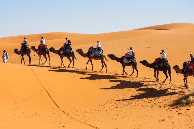 Fes To Marrakech : 3 Days Tour Via The Desert Of Merzouga & Camel - Day 2: Early Camel Ride, Todgha Gorges With a Local Guide, Then Dades Valley