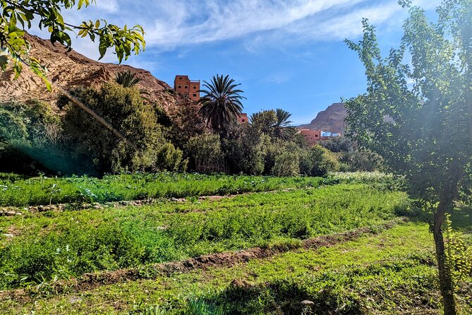 Fes To Marrakech : 3 Days Tour Via The Desert Of Merzouga & Camel - Day 3: Ouarzazate Cinema Stops, Aït Ben Haddou Kasbah, and the High Atlas Drive Into Marrakech