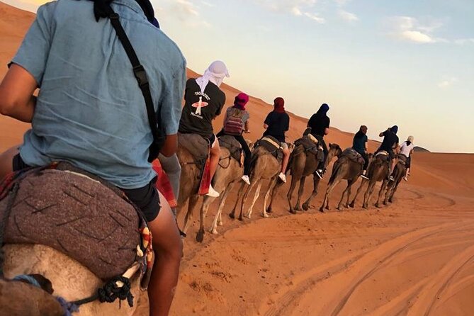 Fes To Marrakech : 3 Days Tour Via The Desert Of Merzouga & Camel - Price and Value: What $389.29 Per Person Really Covers
