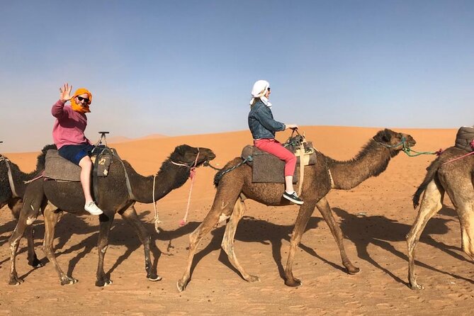 Fes To Marrakech : 3 Days Tour Via The Desert Of Merzouga & Camel - Timing, Comfort, and the Car Hours You Need to Respect