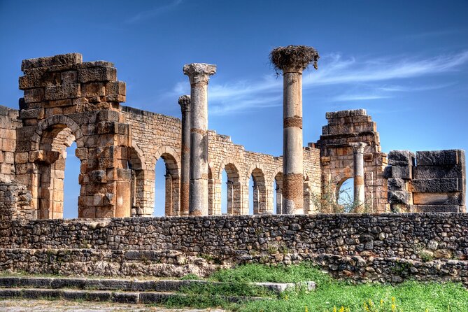 Fes to Volubilis, Moulay Idriss and Meknes Private Day Trip - How this Fez to Volubilis, Moulay Idriss and Meknes day trip saves you time