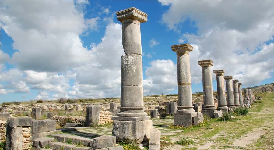 Fes: Volubilis Roman Ruins, Mouly Idriss, & Meknes Day Trip - Key highlights you will feel immediately