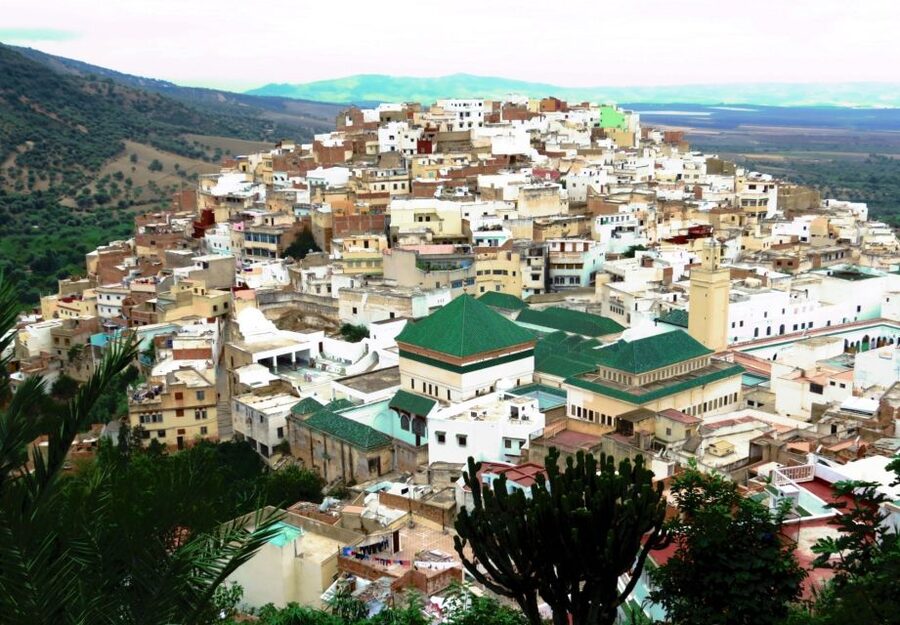 Fes: Volubilis Roman Ruins, Mouly Idriss, & Meknes Day Trip - Price and logistics: what you are actually paying for