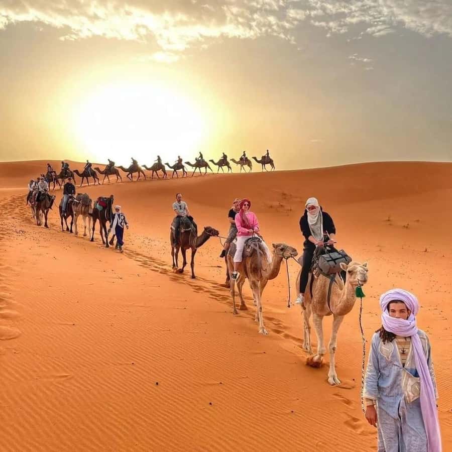 Fez: 2 Day-1 Night Luxury Sahara Desert Trip to Fez/Marakech - Guides and driving support: Ahmed, Mohamed, and Mounir