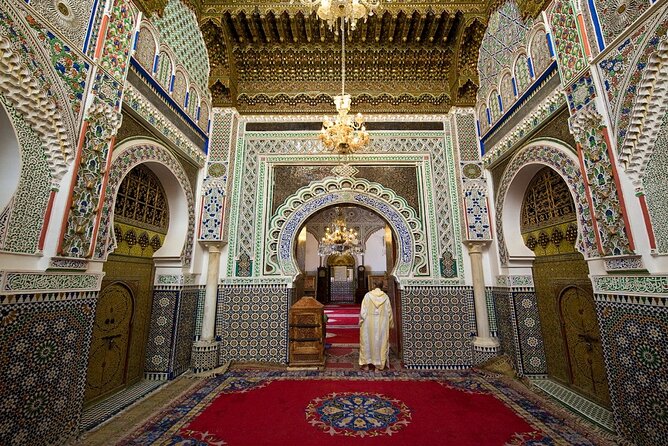 Fez Guided Tour NO SHOPPING TOUR - Tanneries on the Oued Fez: iconic, but manage expectations