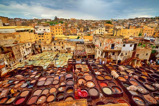 Fez Guided Tour with lunch from Casablanca - Art D’Argile pottery: mosaics, tradition, and eye candy you can explain
