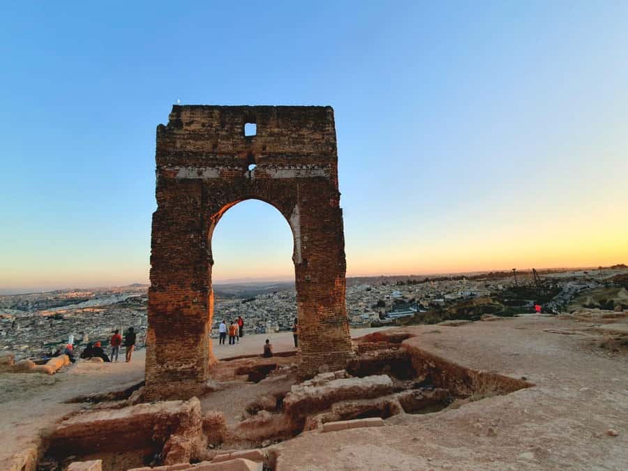Fez: Guided Walking Tour of the Historic Medina - Tanneries: Seeing Leather Processing in Real Time