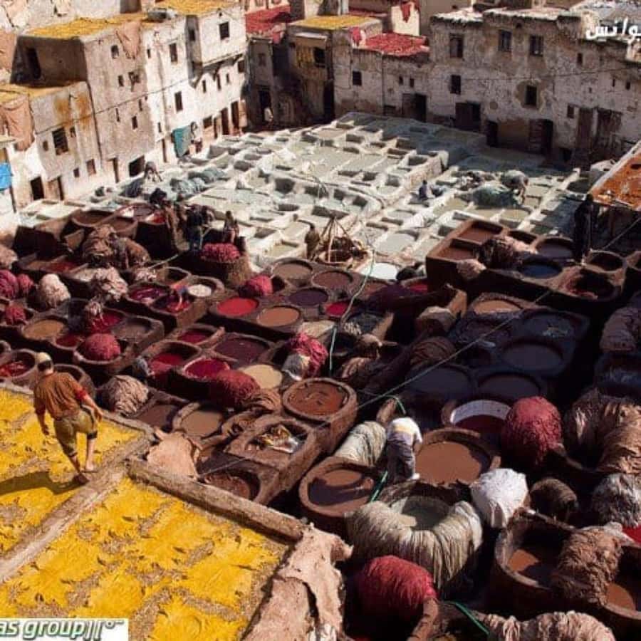 Fez: Guided Walking Tour of the Historic Medina - Souks and Free Time: Shopping With a Plan