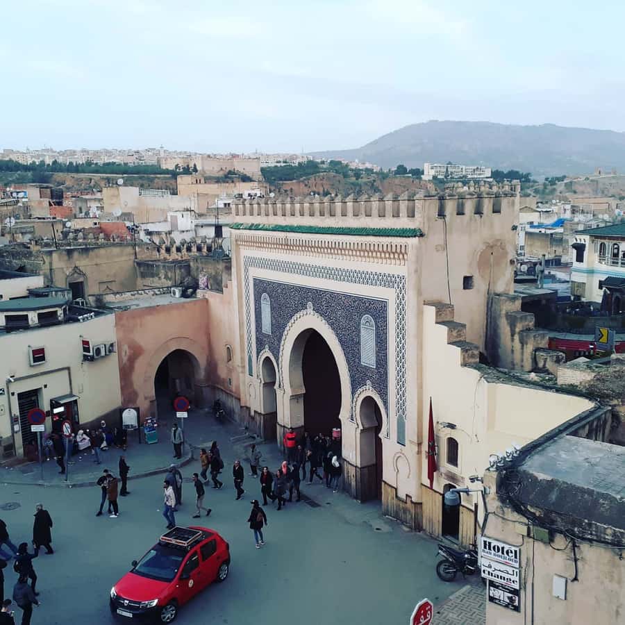Fez: Half-Day City Private Walking Tour with a Guide - Bab Boujloud to the Royal Palace Gate: start where the city wants you to start