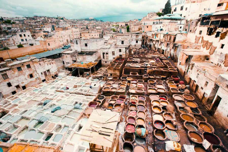 Fez: Half-Day Sightseeing Tour - Key things I’d bank on before you go