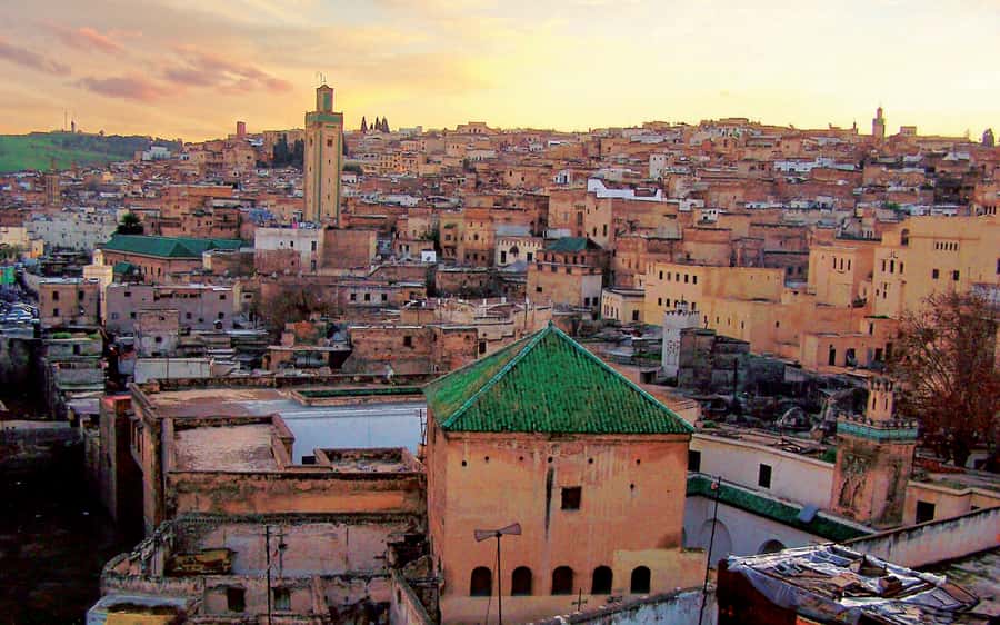 Fez: Half-Day Sightseeing Tour - Why this half-day format works in Fez