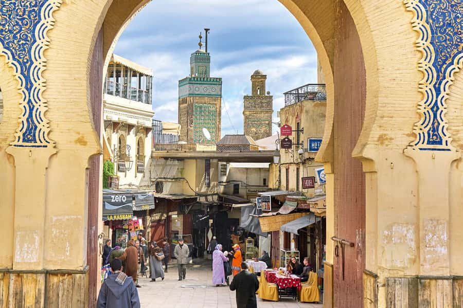 Fez: Half-Day Sightseeing Tour - The tannery visit: largest in Africa, and a stop with a lot of meaning