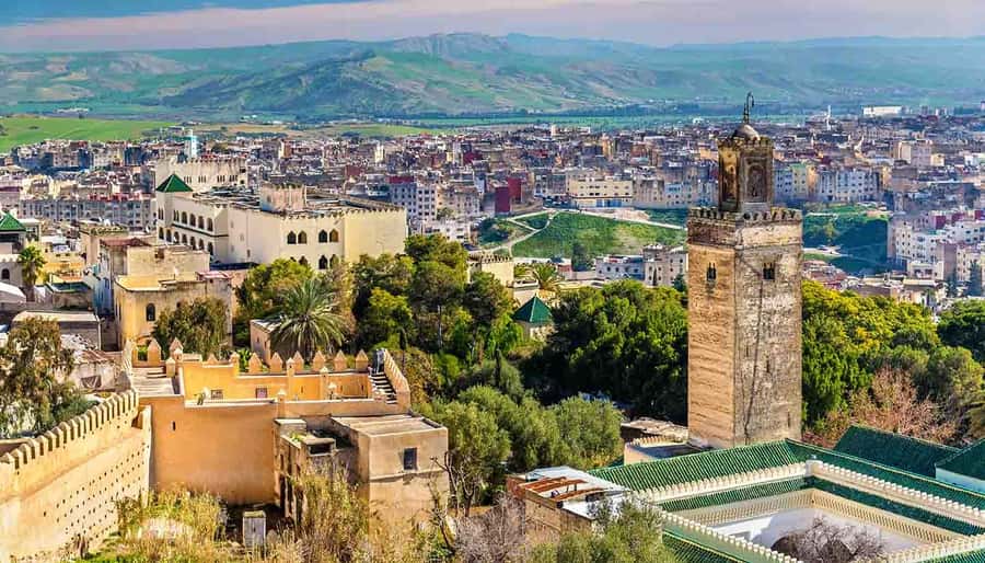 Fez: Half-Day Sightseeing Tour - Timing and pacing: what happens in the real world