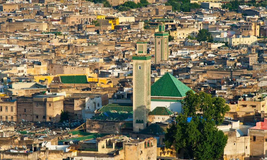 Fez: Half-Day Sightseeing Tour - From Bab Boujloud to Moulay Idriss: the start that sets the tone