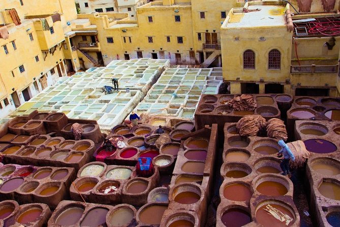 Fez Medina 4-Hour Guided Walking Tour - Step by Step in the Medina: What Each Stop Is Doing for You