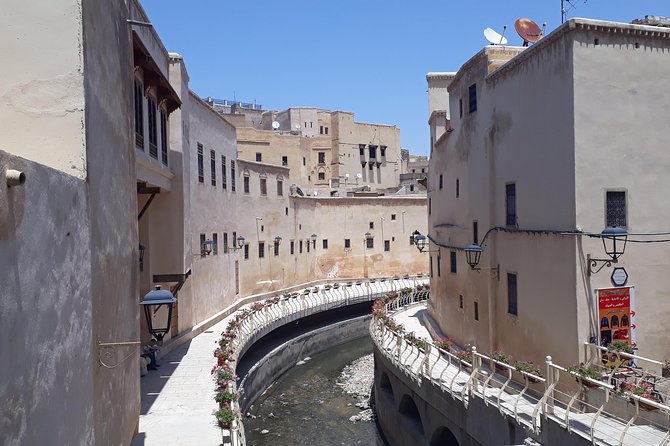 Fez Medina 4-Hour Guided Walking Tour - How to Avoid the Shop-Stop Trap (Without Being Rude)