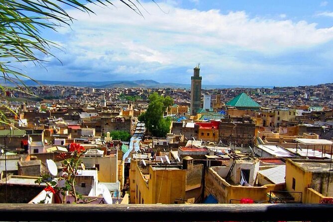 Fez medina and it's secrets : cultural tour (private) - Key Highlights You’ll Feel Right Away