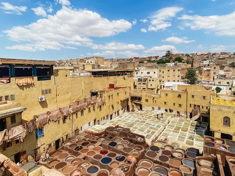 Fez Medina Guided Tour - Batha Palace Museum: A Welcome Reset From the Streets