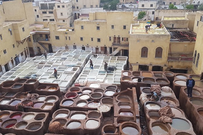 Fez Medina half day walking Tour - Tannery visit: seeing leather work where it’s made