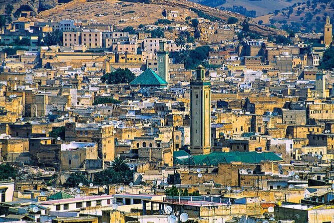 Fez Medina, Walking Daytime Tour - Zaouia of Moulay Idriss II and Sufi shrines, what you can actually see