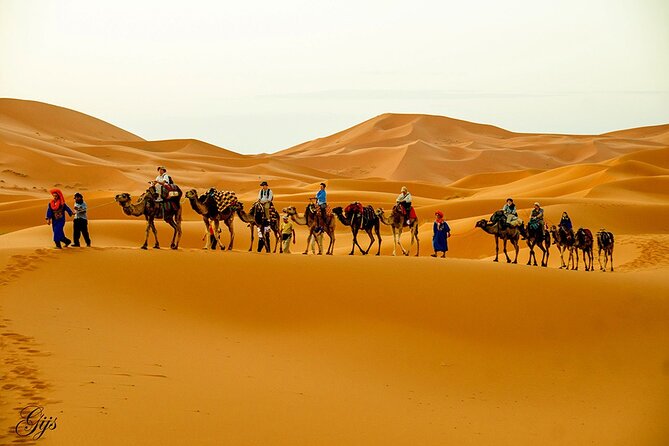 Fez to Marrakech via Merzouga Desert - 3 Day Desert Tour - Quick Hits Before You Go