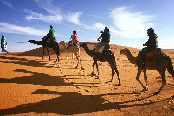 Fez to Marrakech via Merzouga Desert - 3 Day Desert Tour - Day 1: Fez Medina Energy, Ifrane and Azrou Breaks, Then Merzouga Sunset