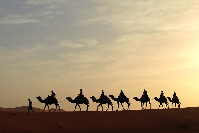 Fez to Marrakech via Merzouga Desert - 3 Day Desert Tour - Price and Logistics: Is $221 Worth It for This Route?
