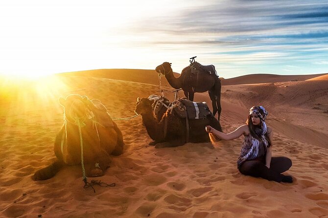 Fez to Marrakech via Merzouga Desert - 3 Day Desert Tour - Who Should Book, and Who Might Not