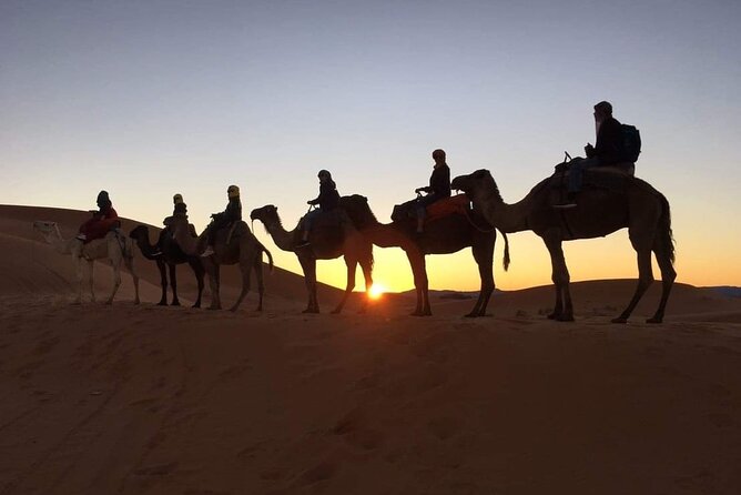 Fez to Marrakech via Merzouga Desert - 3 Day Desert Tour - Merzouga Camp Night: Sunset Camels, Desert Guides, and a Cold-Night Plan