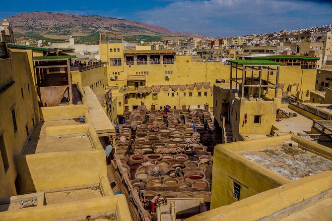 Fez Tours : Guide and Monuments tickets are included - Price and value: $25 for a well-chosen half day