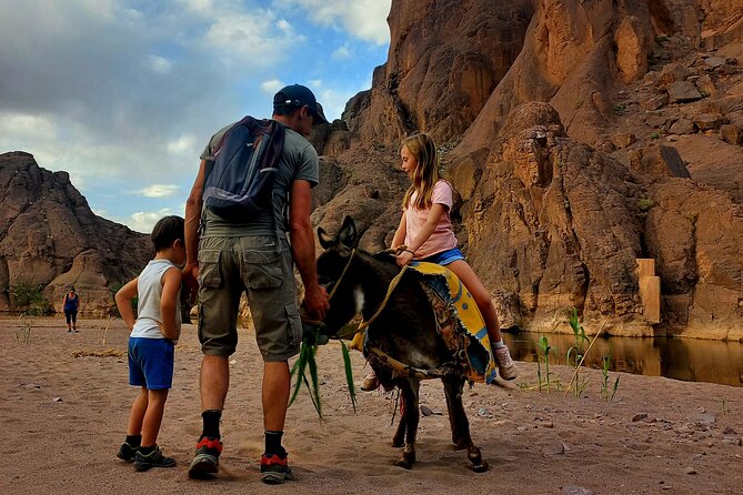 Fint Oasis Private Day Hike - What to bring for comfort in oasis terrain