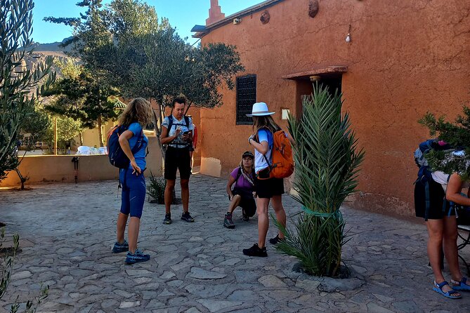 Fint Oasis Private Day Hike - From Berber village streets to the wadi corridor