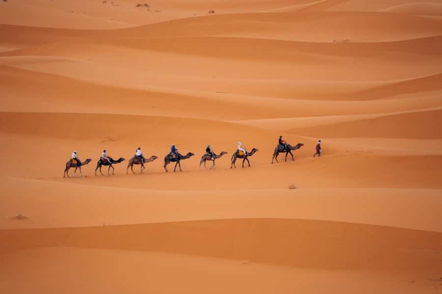 From Agadir: 3-Day Desert Tour to Marrakech - Should You Book This Agadir to Marrakech Desert Tour?