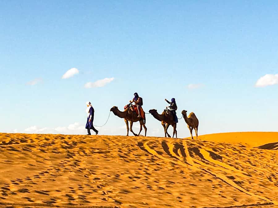From Agadir: 4×4 Jeep Sahara Desert Tour with Lunch - Key highlights at a glance