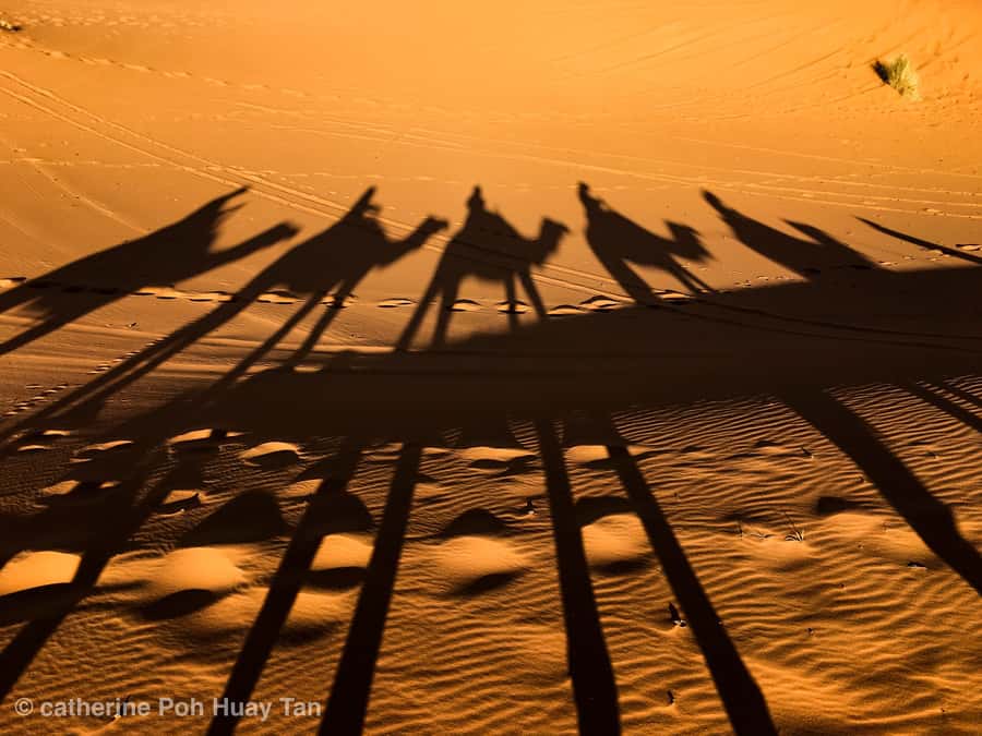 From Agadir: 4×4 Jeep Sahara Desert Tour with Lunch - Getting started: hotel pickup, guide, and the rhythm of the day