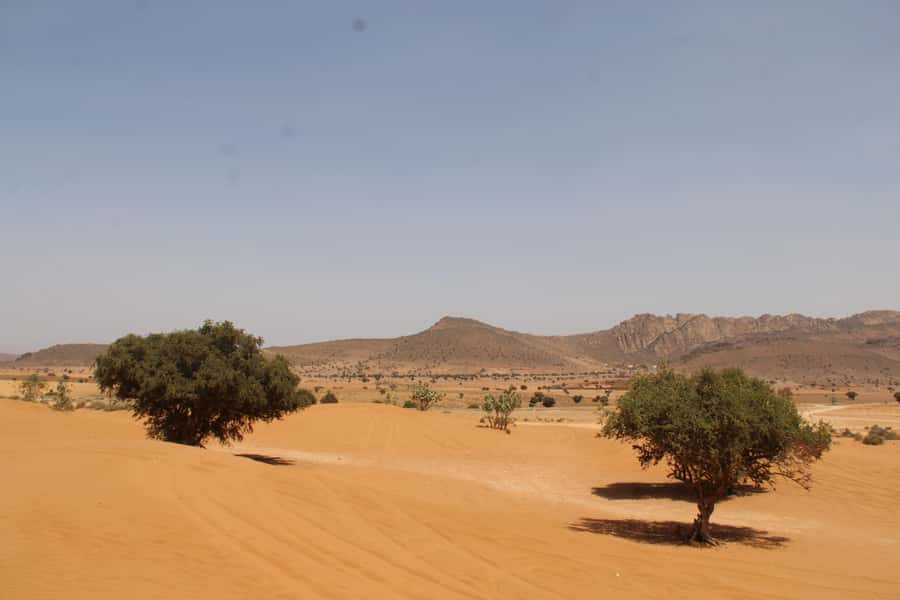 From Agadir: 4×4 Sahara Desert Safari with Lunch and Pickup - Oued Massa National Park, birds, and the Youssef Ibn Tachfin dam